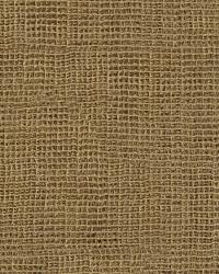 Entangle 9817 6 Gold by  Kravet 