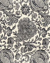 KRAVET BASICS ABUNDANT 21 by  Kravet 