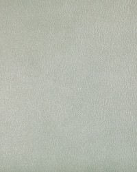 Agatha 1 Pearl by  Kravet 