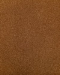 Agatha 12 Squash by  Kravet 