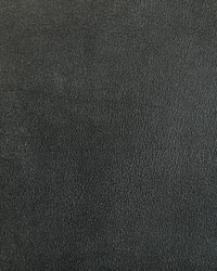 Agatha 21 Pewter by  Kravet 