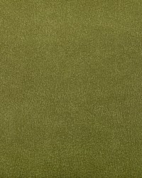 Agatha 23 Cactus by  Kravet 