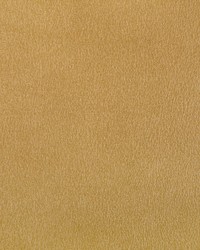 Agatha 40 Gilt by  Kravet 