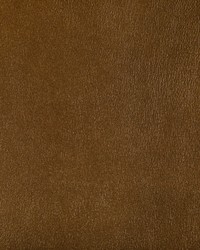 Agatha 404 Inca by  Kravet 