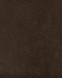 Agatha 624 Bronze by  Kravet 