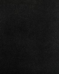 Agatha 811 Iron by  Kravet 