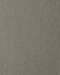 Aldwin Aldwin.1121 by   