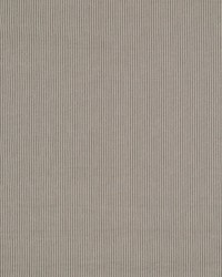 Savannah AM100293 11 Storm by   