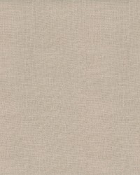 Trek AM100295 16 Canvas by   