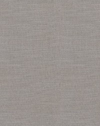 Trek AM100295 21 Storm by   