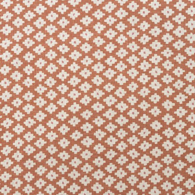 Kravet Maze AM100381 12 Orange ANDREW MARTIN GARDEN PATH AM100381.12 Orange Multipurpose -  Blend Floral Diamond  Small Print Floral  Fabric