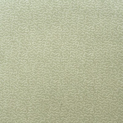 Kravet Pollen AM100383 123 Fennel ANDREW MARTIN GARDEN PATH AM100383.123 Green Multipurpose -  Blend Scroll  Fabric