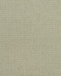 Birch AM100390 106 Stone by  Kravet 