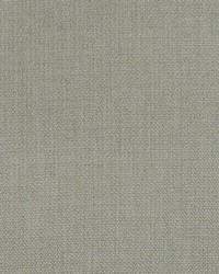 Birds Foot AM100391 106 Stone by   