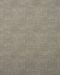 Finch AM100393 16 Twig by  Kravet 