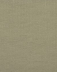 Willow AM100402 1 Chalk by  Kravet 