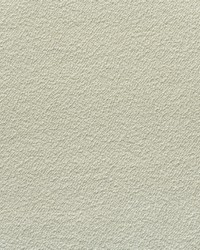 Allegra AM100426 1 Ivory by  B Berger 