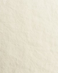 Spa AM100428 1 White by  B Berger 