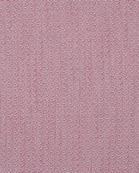 Ravello AM100431 17 Pink by  B Berger 