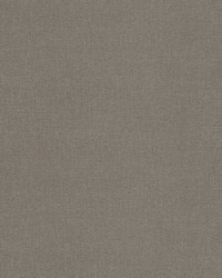 Walton AM100432 21 Pebble by  B Berger 