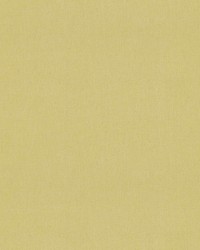 Walton AM100432 3 Lemon by  B Berger 