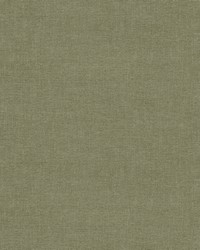 Walton AM100432 30 Moss by  B Berger 