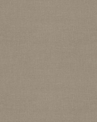 Walton AM100432 6 Biscuit by  B Berger 