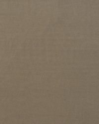 Medici AM100443 16 Stone by   