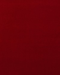 Medici AM100443 19 Burnt Sienna by   