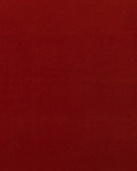 Medici AM100443 212 Raw Umber by   