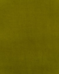 Medici AM100443 314 Pear by   