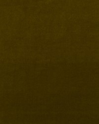 Medici AM100443 34 Olive by   