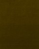 Kravet MEDICI OLIVE