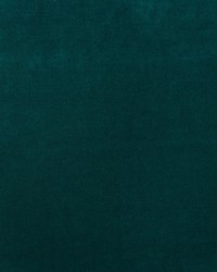 Medici AM100443 35 Kingfisher by   