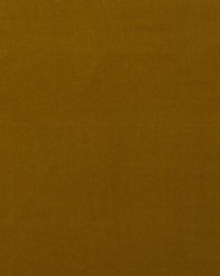 Medici AM100443 430 Quince by   