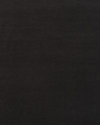 Medici AM100443 621 Charcoal by   