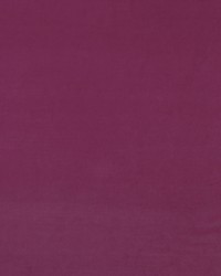 Medici AM100443 7 Geranium by   