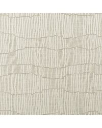 Canale AM100472 106 String by   