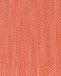 Riviera AM100495 12 Spritz by  Kravet 