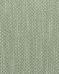 Riviera AM100495 3 Cypress by  Kravet 