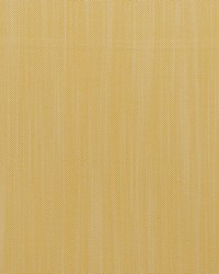 Riviera AM100495 4 Sole by  Kravet 