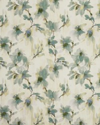 KRAVET BASICS AMANDIERS 315 by  Kravet 