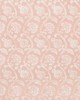Kravet AMBALLA BLUSH