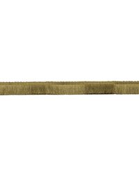 FLORENTIA AMT10006 4 GOLD by  Kravet Trim 