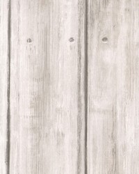 Timber White by  Wimpfheimer Velvet 