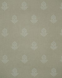 COW PARSLEY AMW10076 106 STONE by  Kravet Wallcovering 