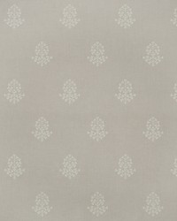 COW PARSLEY AMW10076 11 MARL by  Kravet Wallcovering 