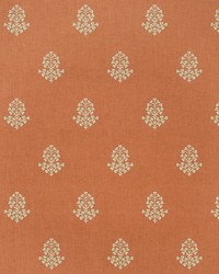 COW PARSLEY AMW10076 12 CLEMENTINE by  Kravet Wallcovering 