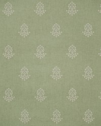 COW PARSLEY AMW10076 3 LEAF by  Kravet Wallcovering 