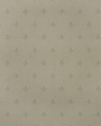 CROCUS AMW10077 106 STONE by   